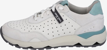 JOSEF SEIBEL Sneakers in White: front