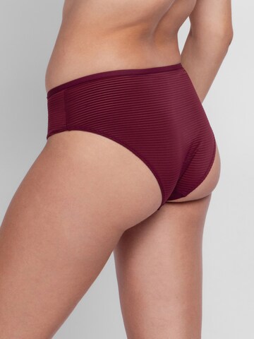 Dorina Panty 'Carmen' in Red