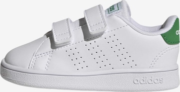 ADIDAS ORIGINALS Кроссовки 'Advantage' в Белый: спереди