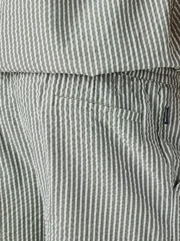 Seaside Regular Pants 'Dylan' in Green