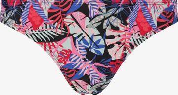 Cruz Bikini Bottoms 'Aprilia' in Blue: front