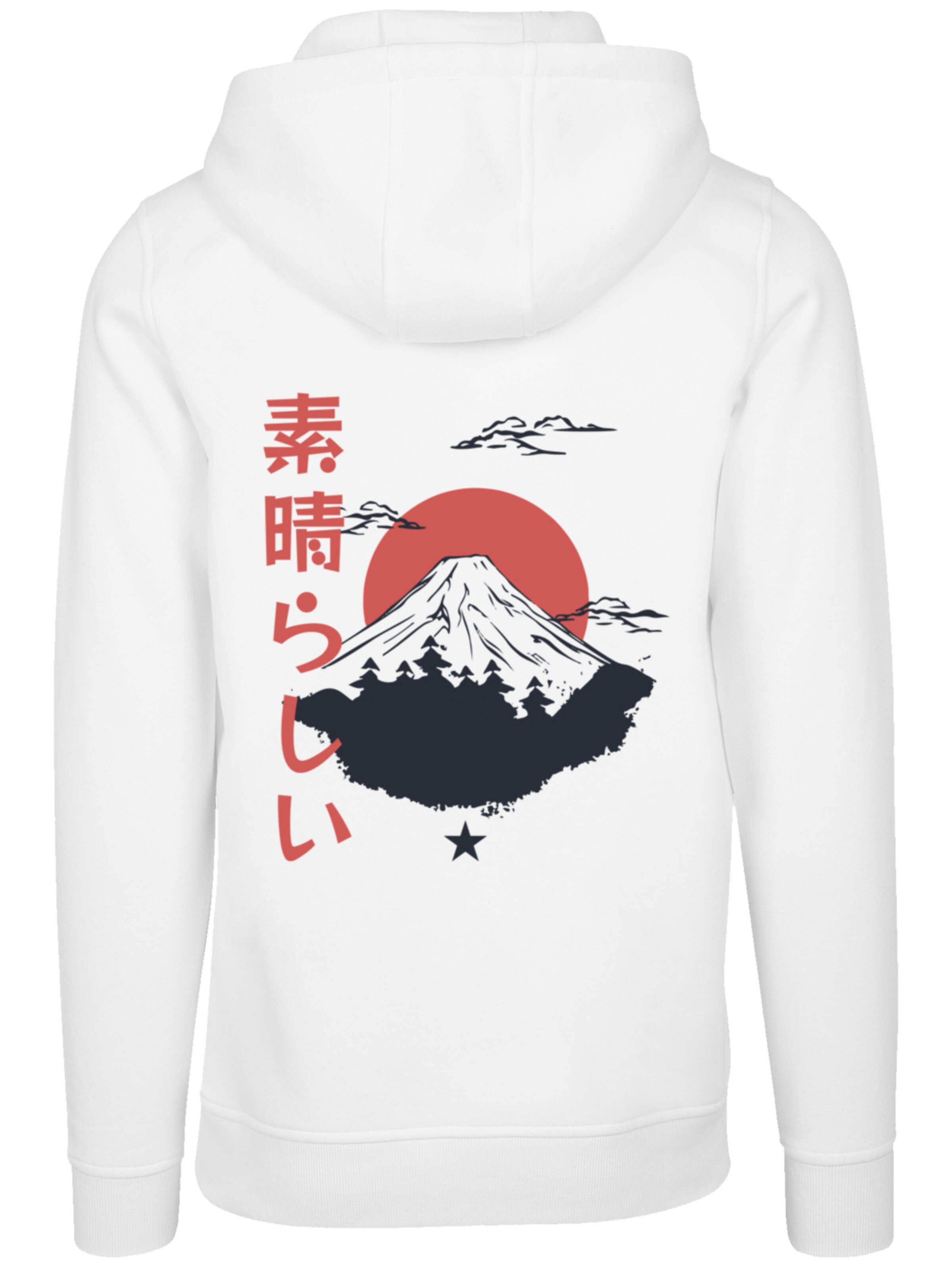Pull-over 'Mount Fuji' F4NT4STIC en blanc