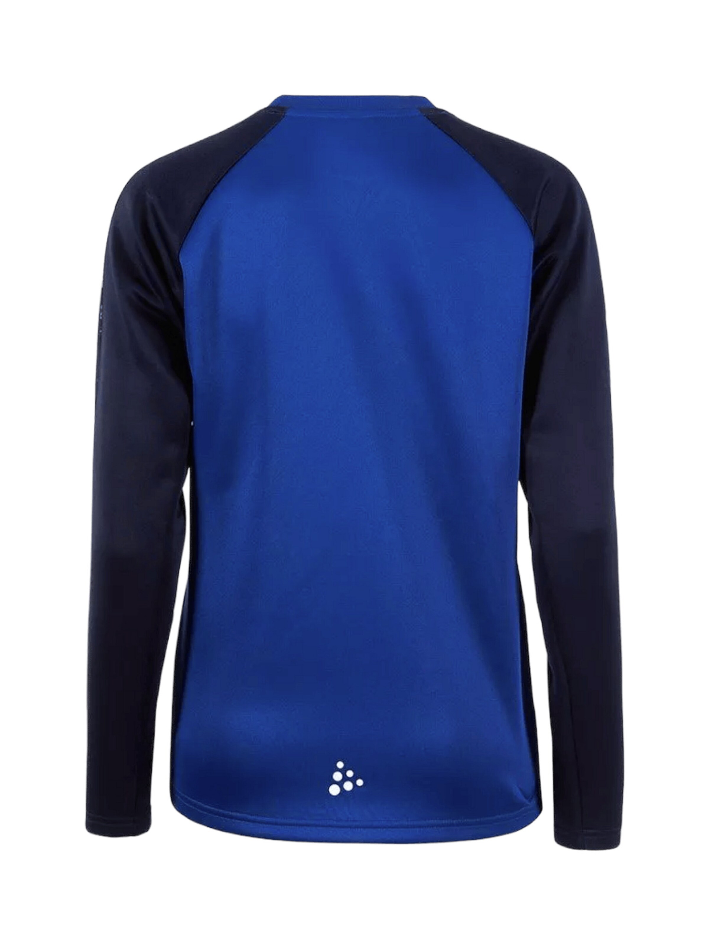 Craft Performance Shirt 'Squad 2.0' in Blue