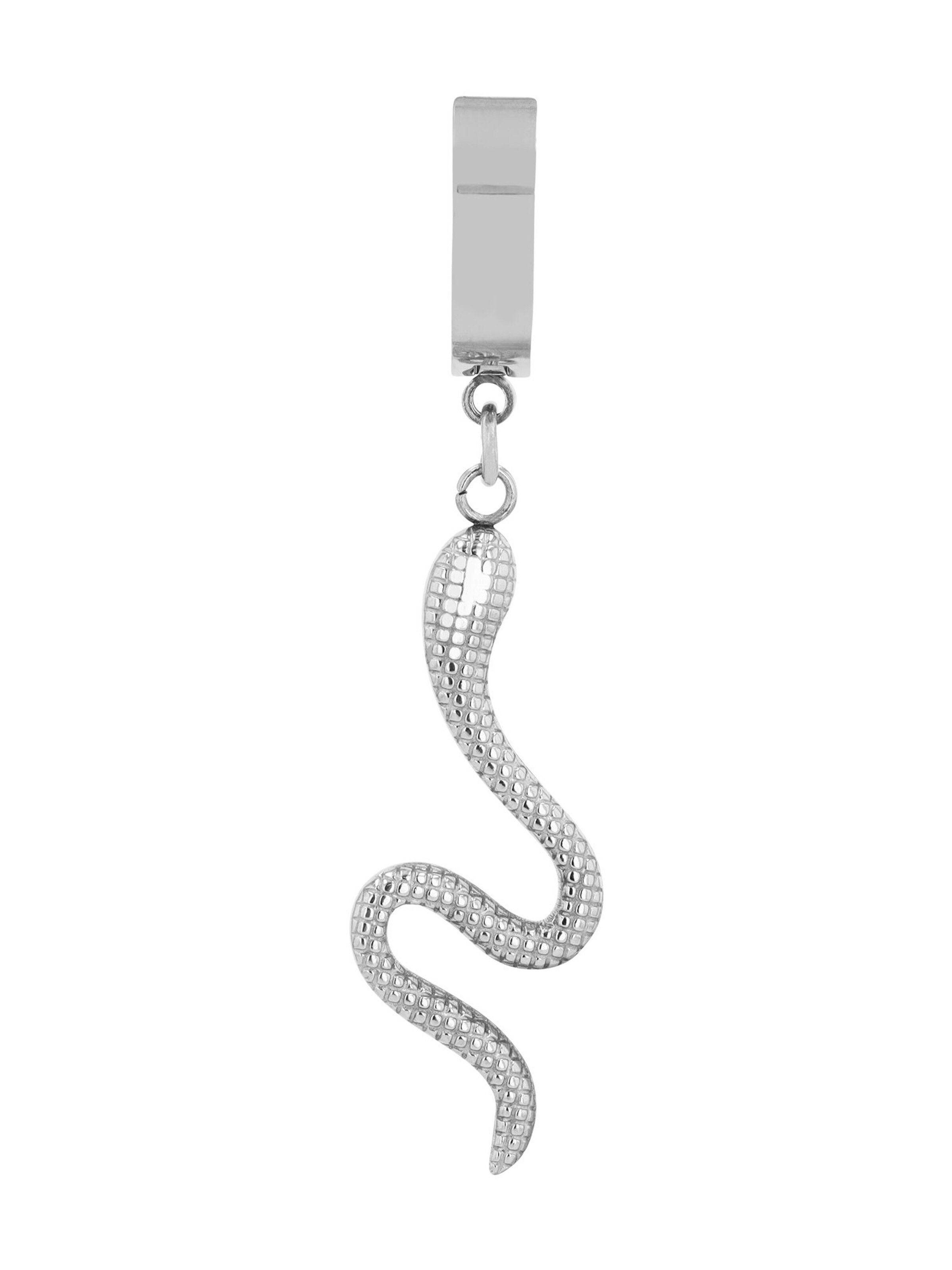 Akzent Earrings 'Calypso, langlebig' in Silver: front