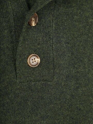 Steppin' out Trui in Groen