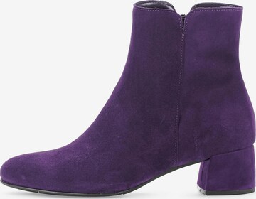 Bottines GABOR en violet