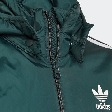 ADIDAS ORIGINALS Zimní bunda 'Adicolor' – zelená