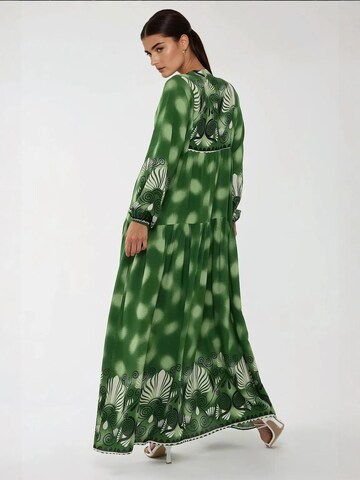 Robe-chemise Hiccup en vert