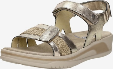 Wolky Sandale 'Fantom Elite' in Beige: Vorderseite
