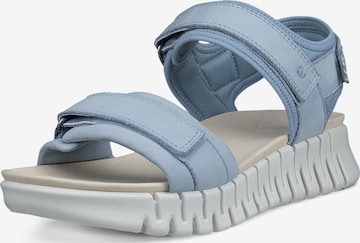 ECCO Sandalen met riem 'GRUUV SOL' in Blauw: voorkant