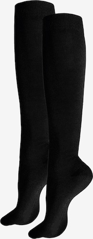 Hudson Kniestrümpfe 'Only' in Schwarz: Vorderseite