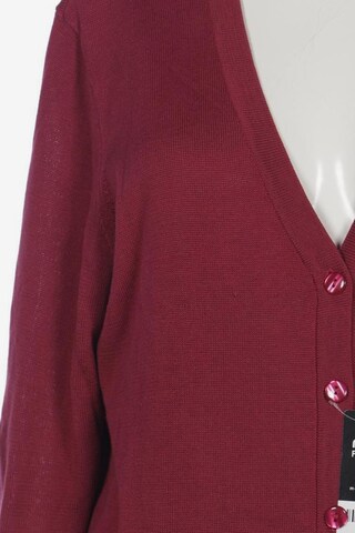 Atelier Goldner Schnitt Sweater & Cardigan in 5XL in Pink