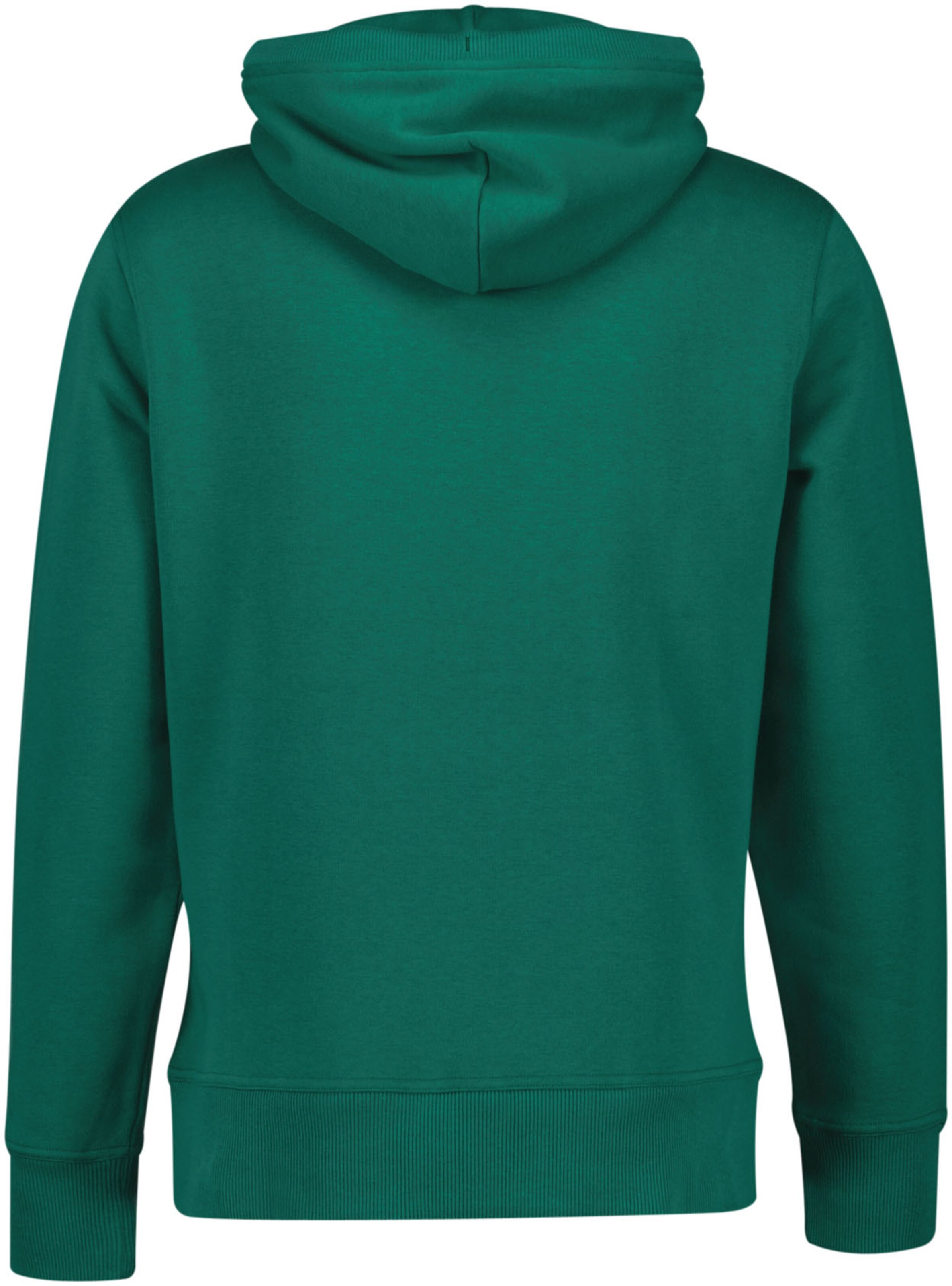 GANT Sweatshirt i grøn