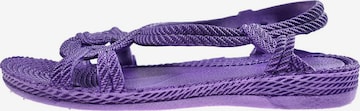 Brasileras Sandale 'Esmirna' in Lila: Vorderseite