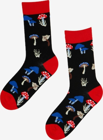 Sokisahtel Socken 'MUSHROOM cotton socks' in Schwarz: Vorderseite