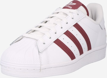 ADIDAS ORIGINALS - Zapatillas deportivas bajas 'Superstar' en blanco: frente