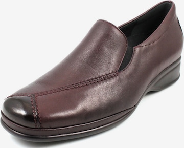 SEMLER Classic Flats in Brown: front