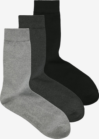 Calzino 'JACORDINARY' di JACK & JONES in grigio: frontale