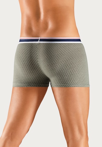 s.Oliver Boxershorts in Grün