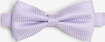 OLYMP Bow Tie in Purple: front