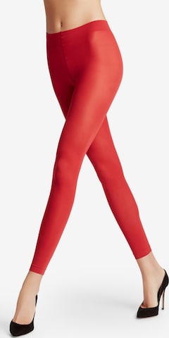 FALKE Leggings 'Pure Matt' in Rot: Vorderseite