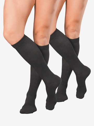 celodoro Knee High Socks 'Traveller' in Grey: front