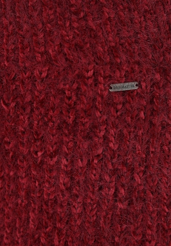 DreiMaster Vintage Rok in Rood