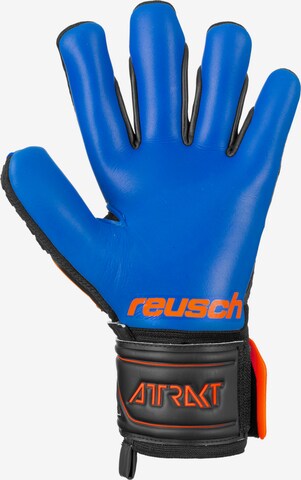 REUSCH Handschuh 'Attrakt Freegel' in Schwarz