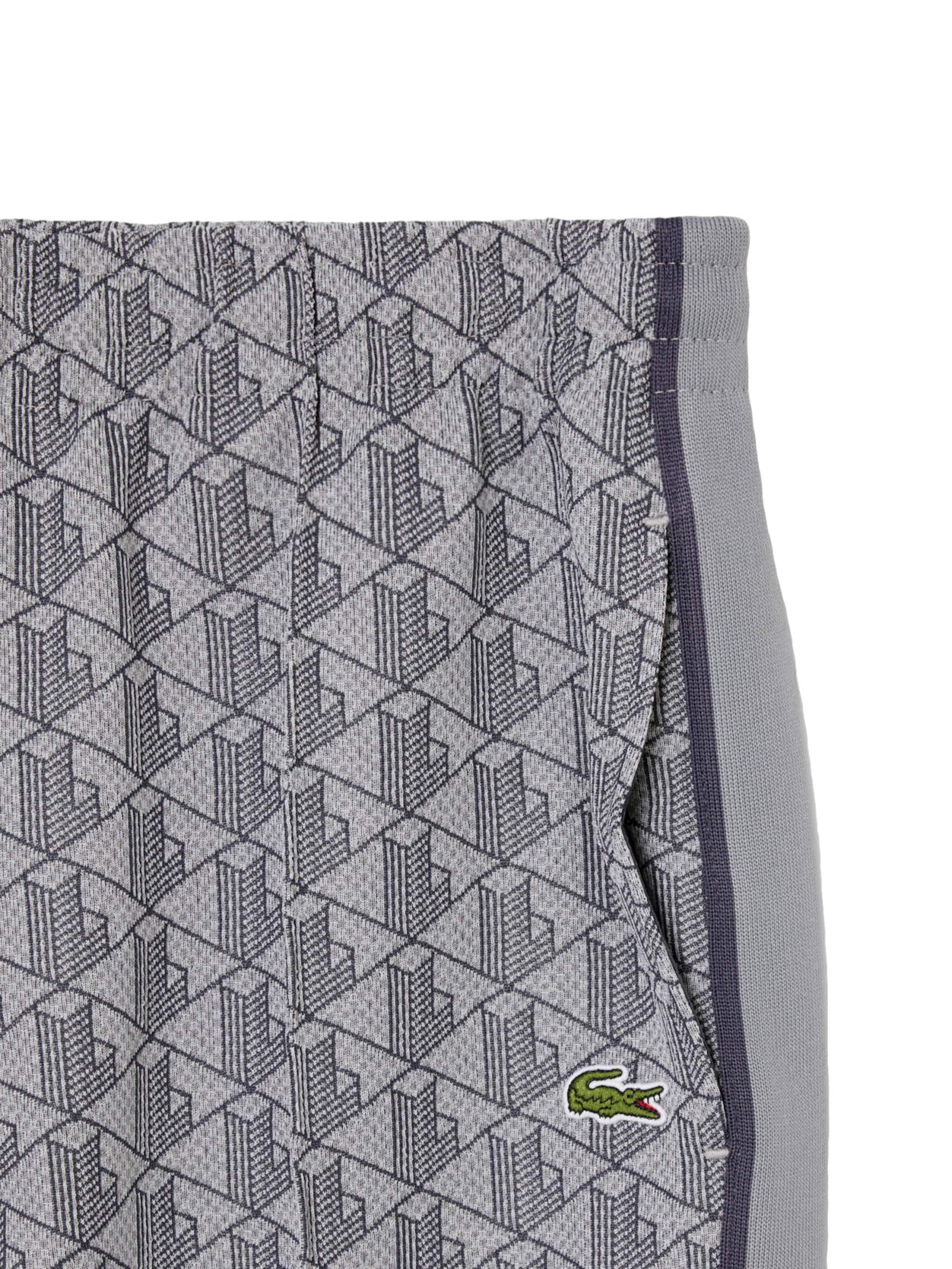 LACOSTE Regular Hose in Grau