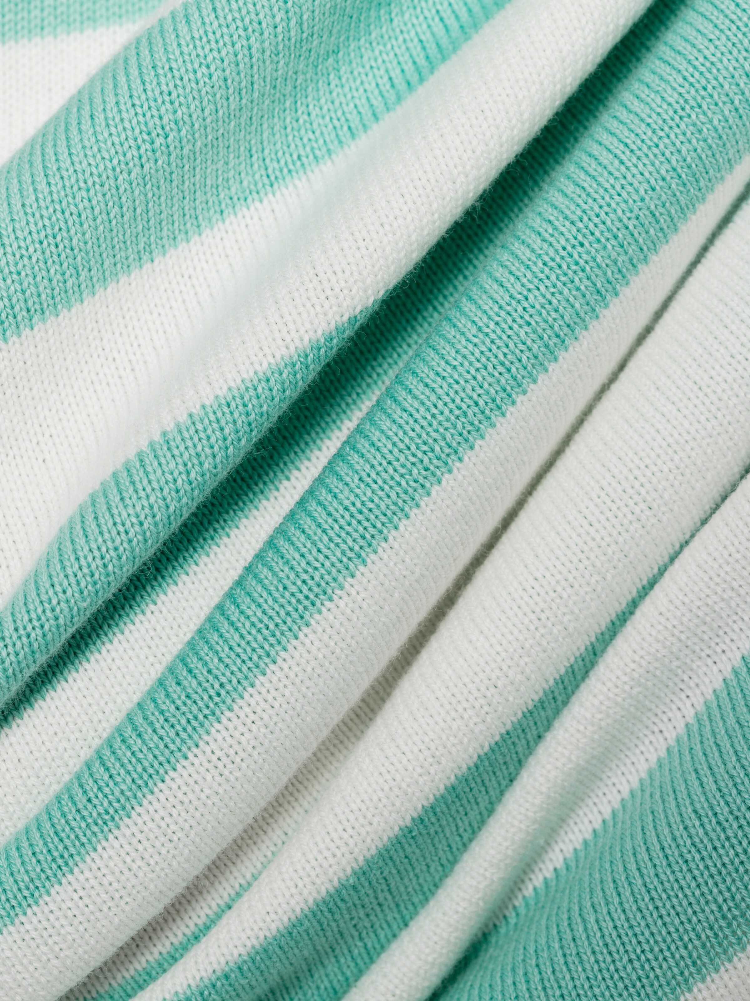 Brookshire Sweater in Green