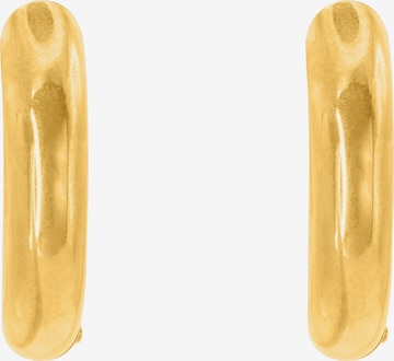 Boucles d'oreilles Heideman en or