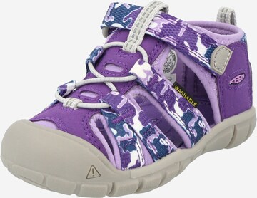 Sandales 'Seacamp II' KEEN en violet : devant