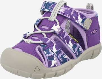 KEEN Sandal 'Seacamp II' in Purple: front