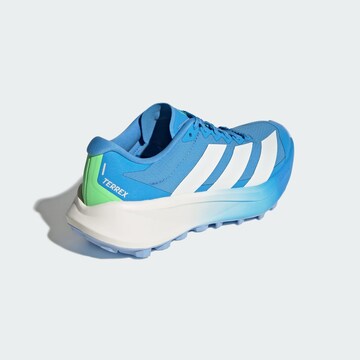 Chaussure basse 'Agravic 4 Trail Running' ADIDAS TERREX en bleu