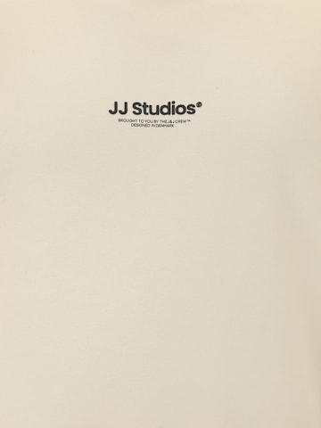 Jack & Jones Plus Sweatshirt 'JJESOHO' in Grey
