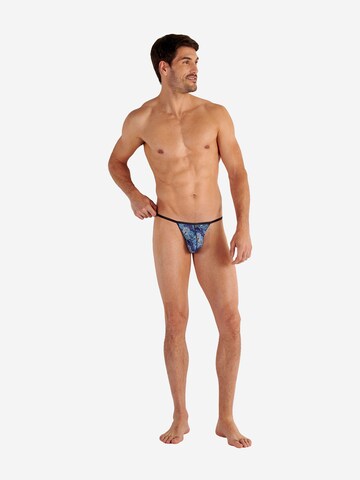 Slip ' Barrett ' HOM en bleu