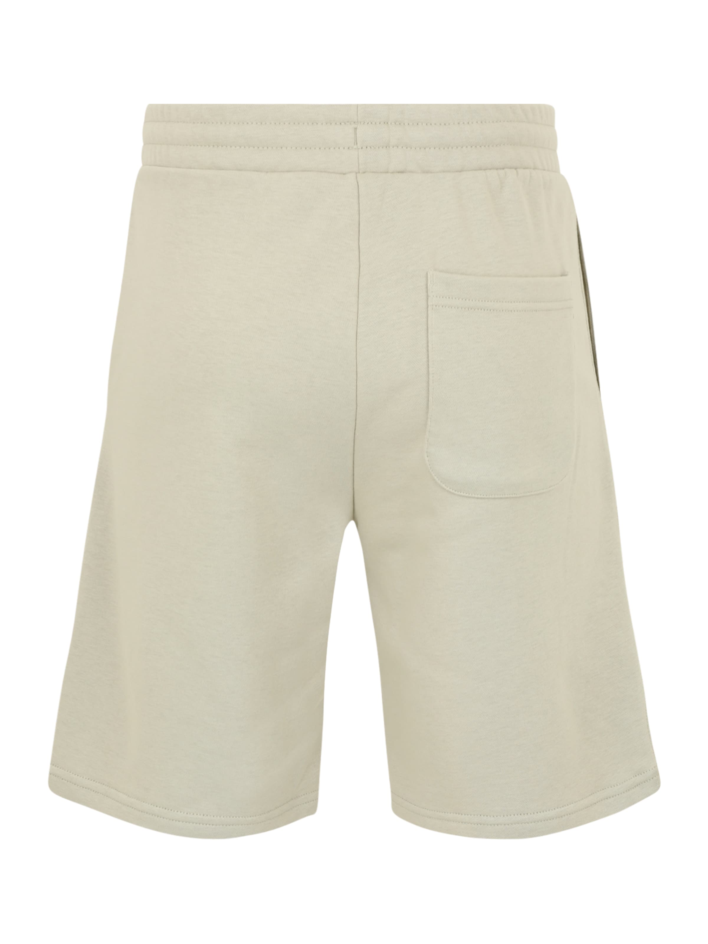 CONVERSE Normalny krój Spodnie w kolorze zielony