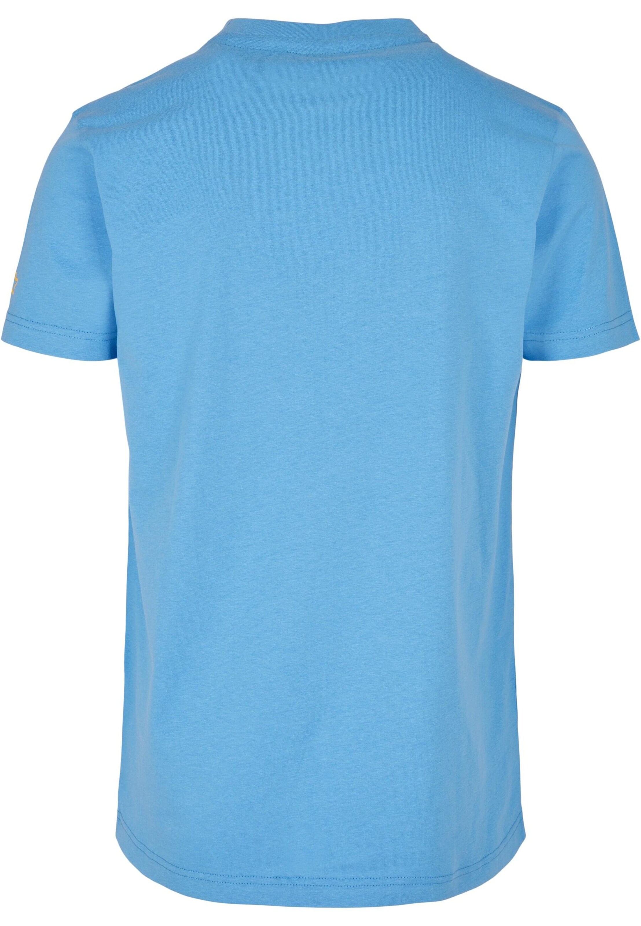 Starter Black Label Shirt in Blauw