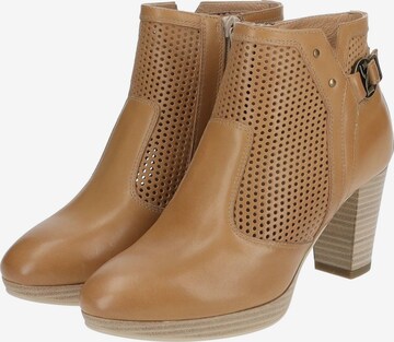 Nero Giardini Ankle Boots in Brown