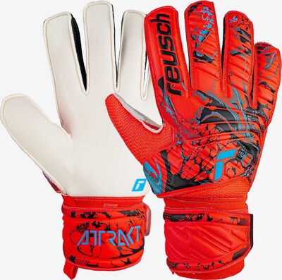 REUSCH Sporthandschoenen 'Attrakt Solid' in de kleur Blauw / Rood, Productweergave