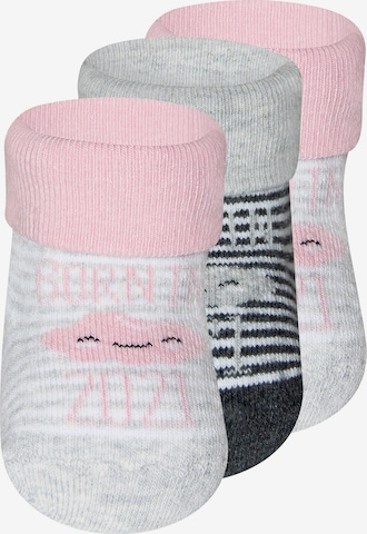 EWERS Socks in Grey: front