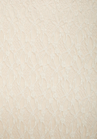 BUFFALO Rock in Beige