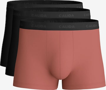 CALIDA Boxershorts 'Cotton Special' in Rot: Vorderseite