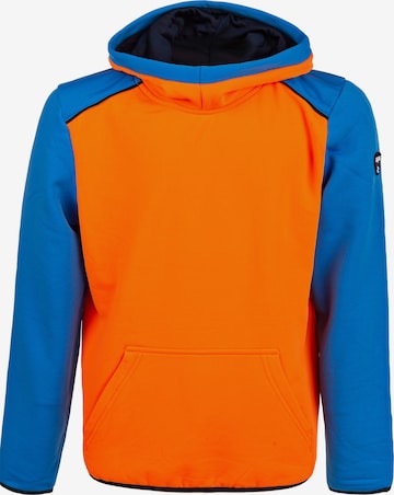 ZigZag Sweatshirt 'FINK' in Orange: front