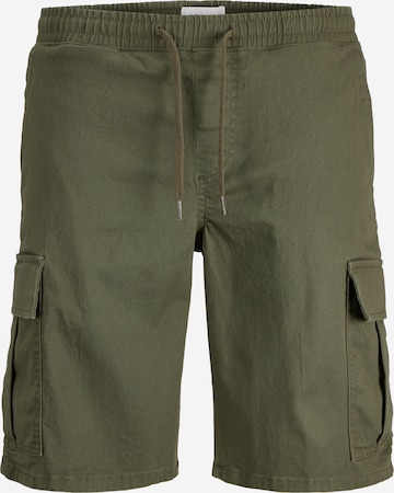 JACK & JONES Cargo Pants in Green: front