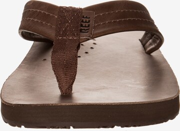 REEF Beach & Pool Shoes 'Draftsmen' in Brown