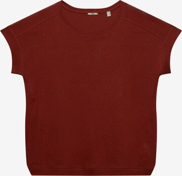 T-shirt Esprit Curves en marron : devant