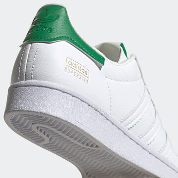 Baskets basses 'Superstar' ADIDAS ORIGINALS en blanc