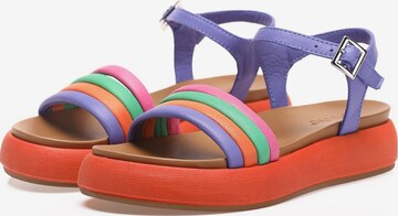 INUOVO Strap Sandals in Purple