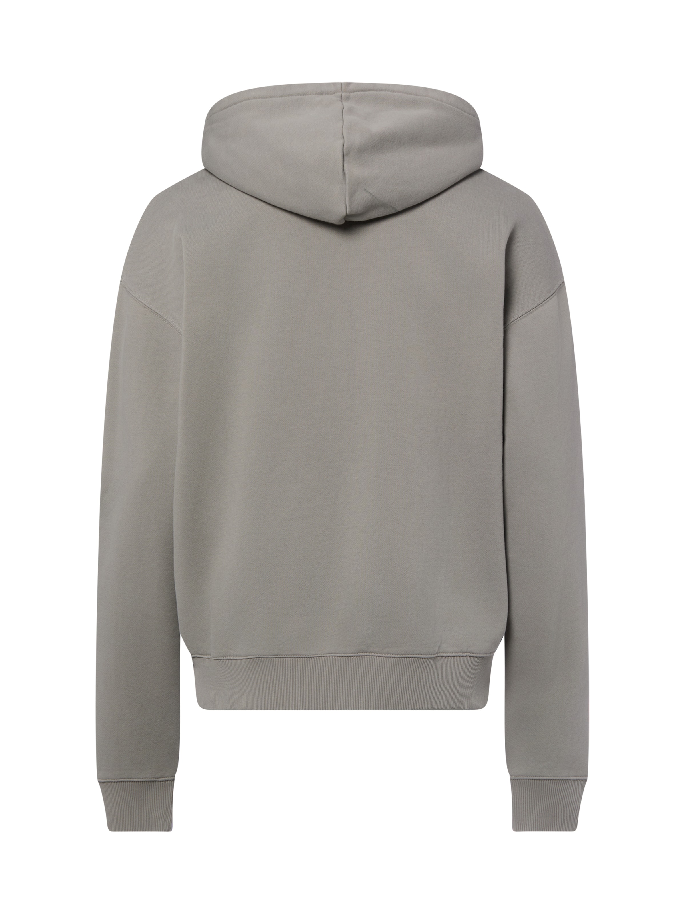 Pegador Sweatshirt in Grau